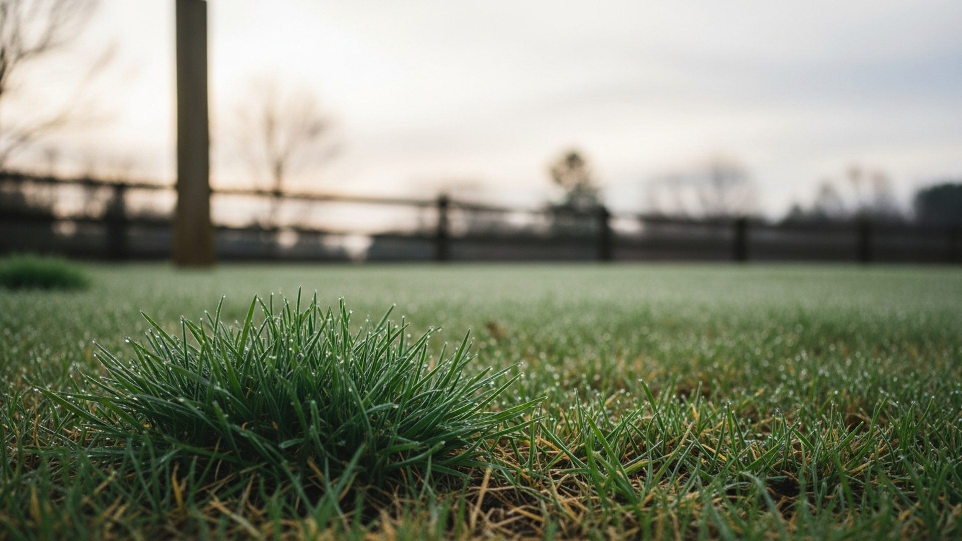 Year-Round Mowing Calendar: Adapting to Growth Cycles